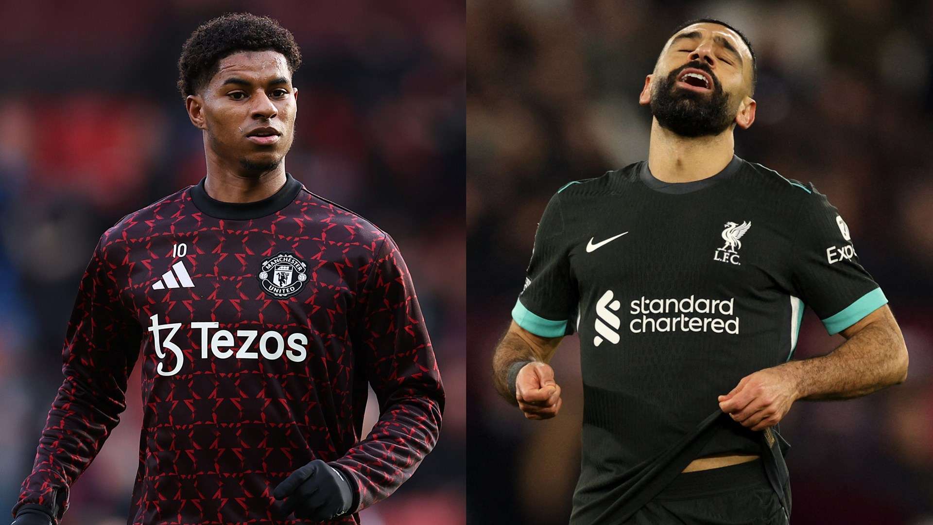 他不仅具备 他不仅具备